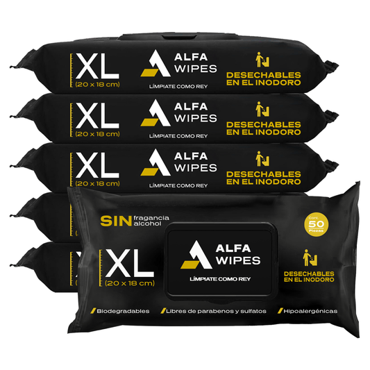 Alfa Wipes 6-pack (300 toallitas)