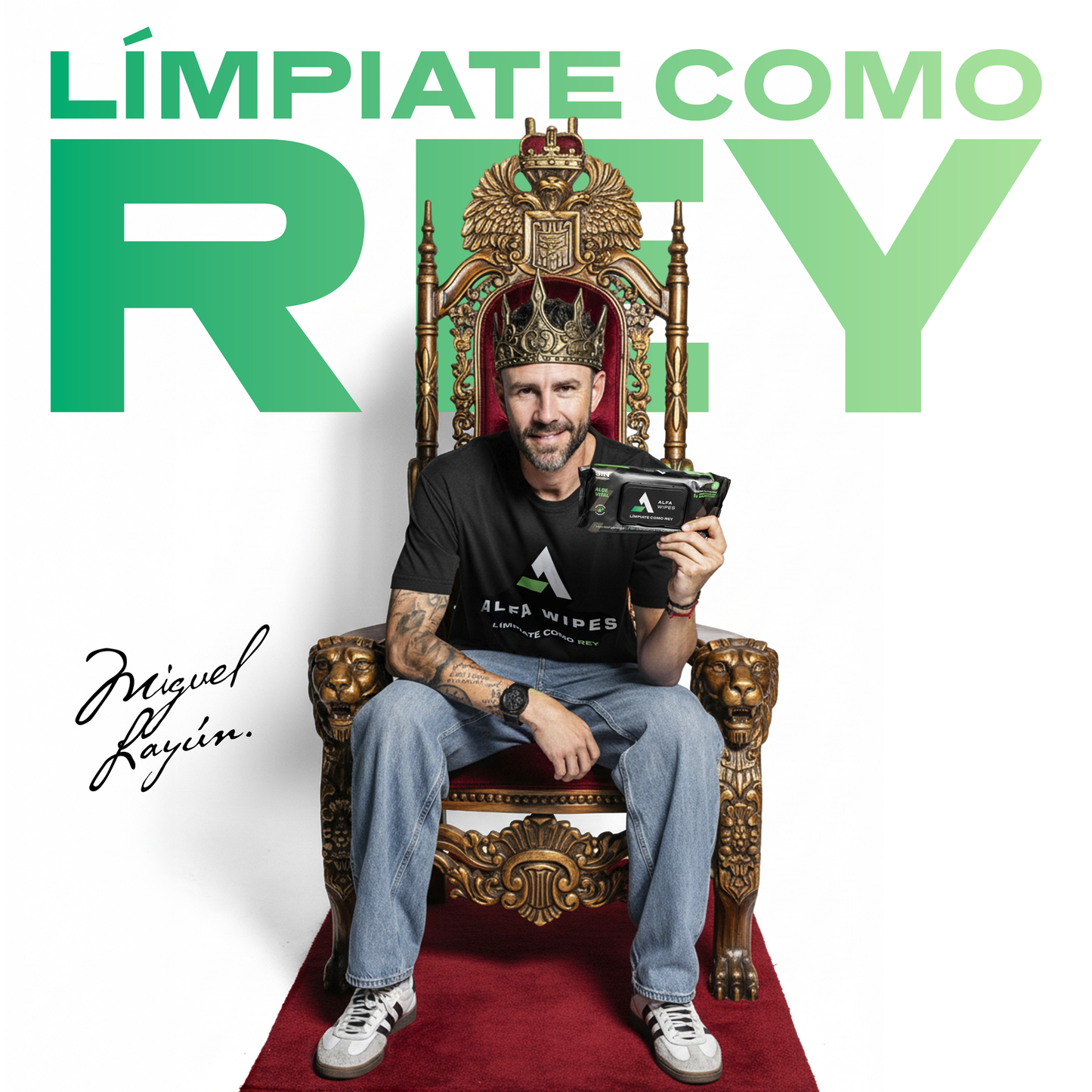 Alfa Wipes 6-pack (300 toallitas) Aloe Vital